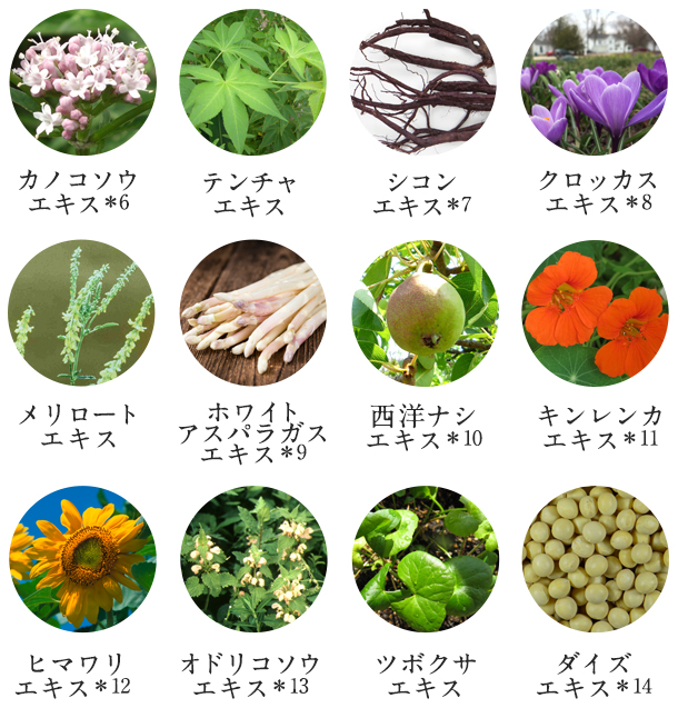 肌のはたらきをサポートする12種類の植物エキスイメージ
