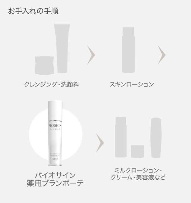お手入れの手順