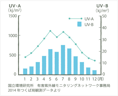 「ＵＶ－Ａ（紫外線Ａ波）」「ＵＶ－Ｂ（紫外線Ｂ波）」グラフ