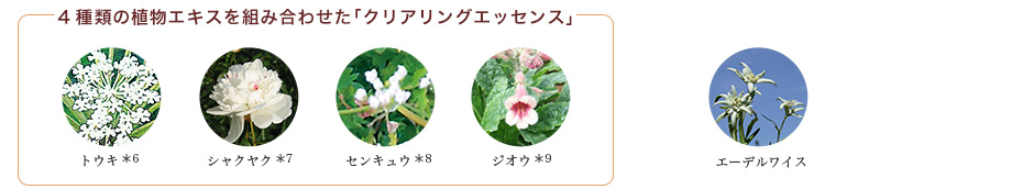 4種類の植物エキスを組み合わせた「クリアリングエッセンス」エーデルワイスイメージ
