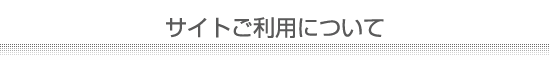 �T�C�g�����p�ɂ���