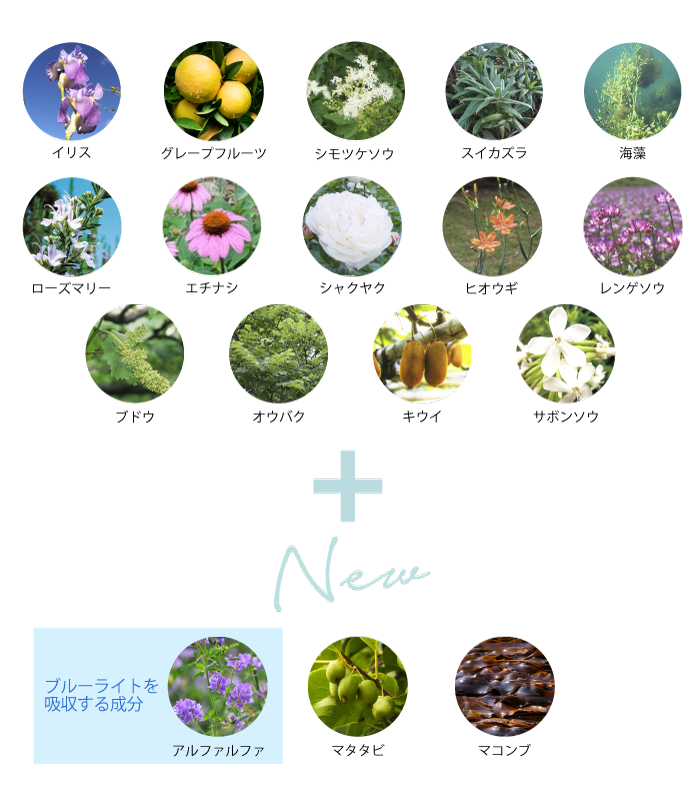 17種類の植物＆海藻エキス