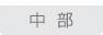 中部