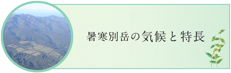 暑寒別岳の気候と特長