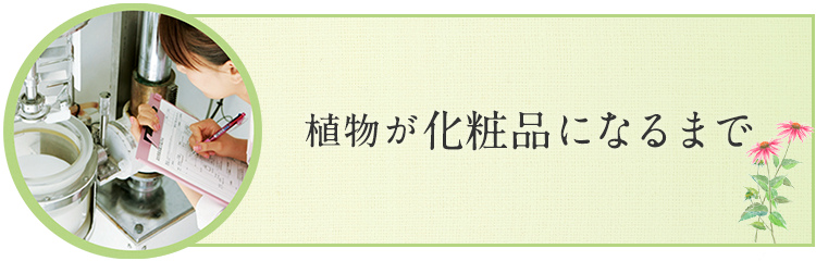 植物が化粧品になるまで