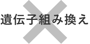 ×遺伝子組み換え