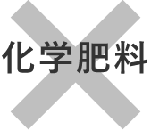 ×化学肥料