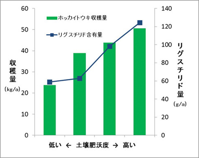 ホッカイトウキの収穫量とリグスチリドの保有量