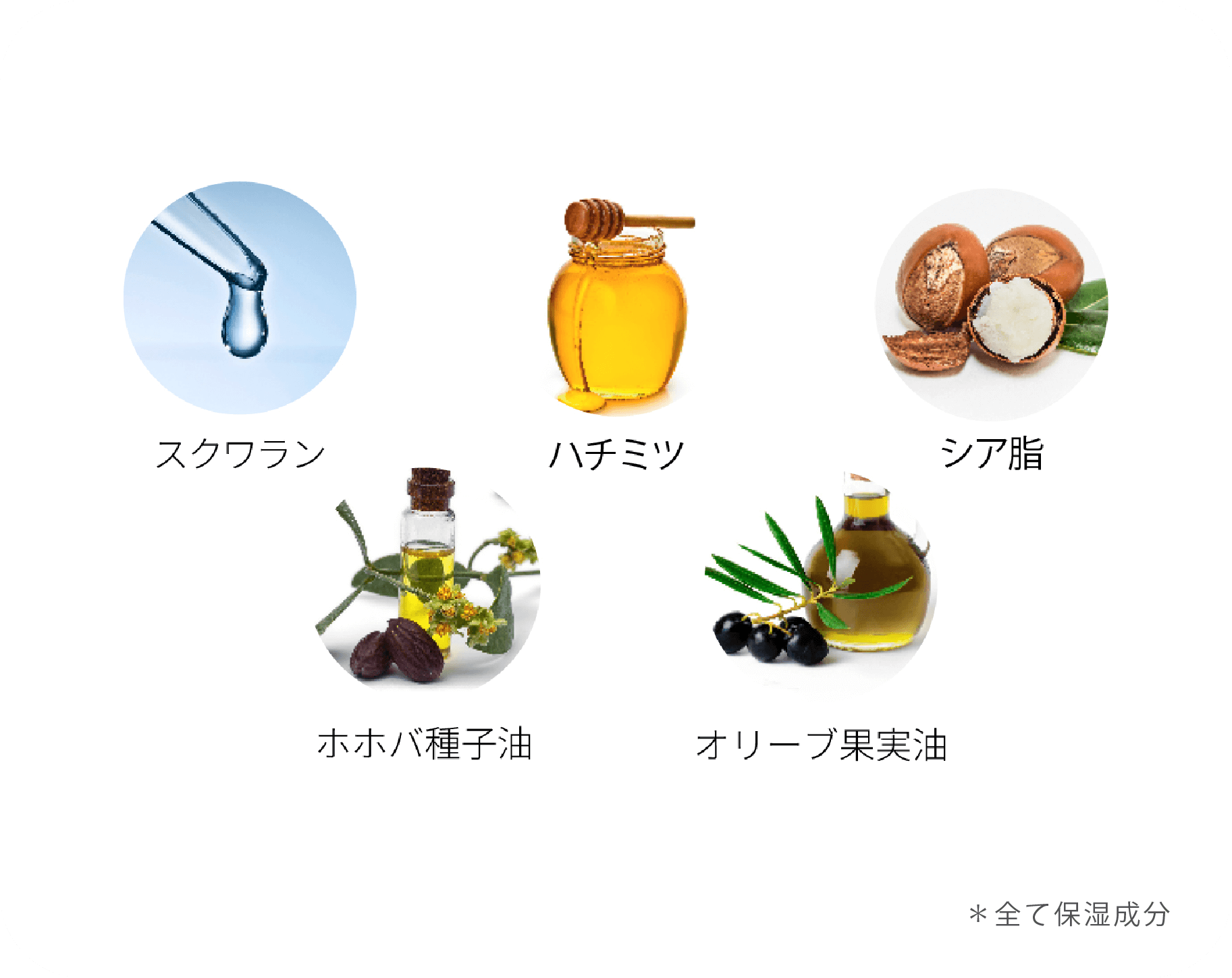 美容液成分の画像。スクラワン、ハチミツ、シア脂、ホホバ種子油、オリーブ果実油