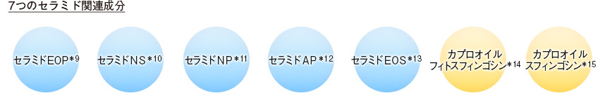 7つのセラミド関連成分イメージ