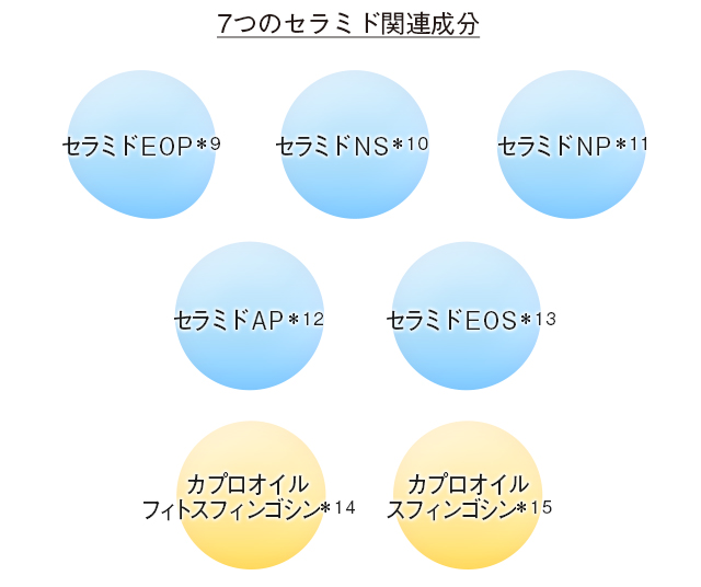 7つのセラミド関連成分イメージ