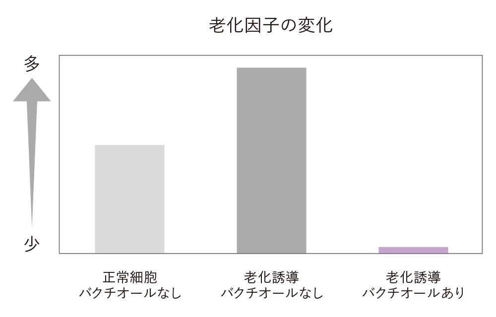 老化因子の変化