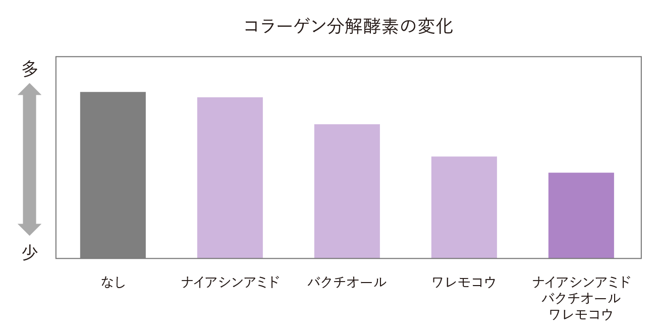 コラーゲン分解酵素の変化