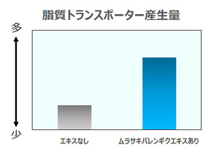 脂質トランスポーターの産生量グラフ