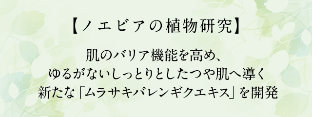 皮フの老化細胞を除去する「メドウスイート」を発見