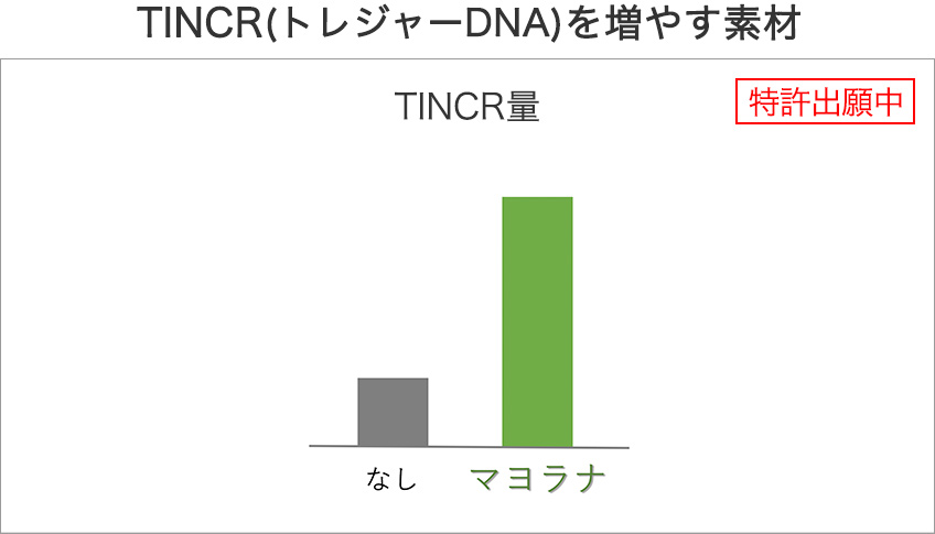 TINCR(トレジャーDNA)を増やす素材 [特許出願中]