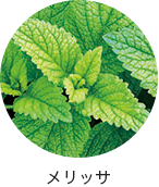 メリッサ