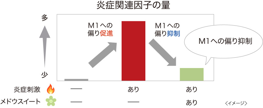 炎症関連因子の量