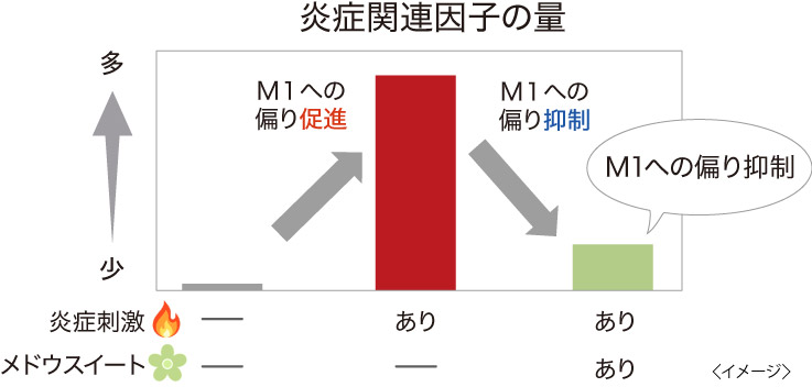 炎症関連因子の量