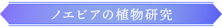 ノエビアの植物研究