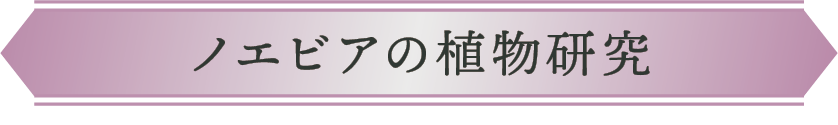 ノエビアの植物研究