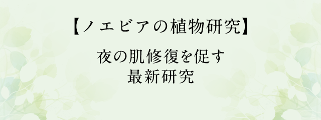 夜の肌修復を促す最新研究