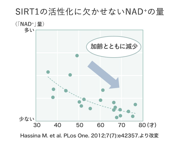 SIRT1の活性化に欠かせないNAD+の量