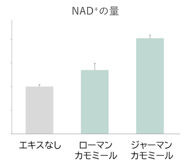 NAD+の量