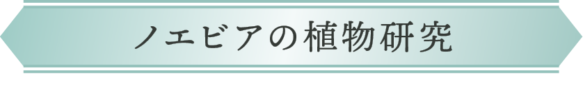 ノエビアの植物研究
