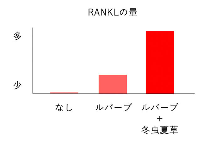 RANKLの量