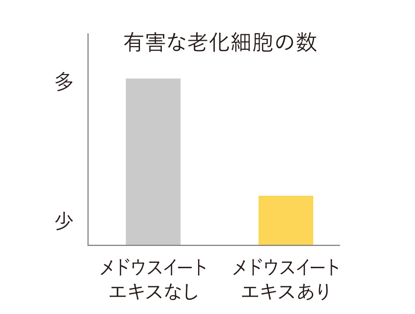 有害な老化細胞の数