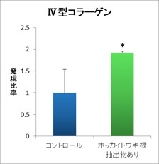 Ⅳ型コラーゲン