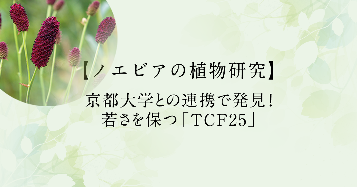 ワレモコウ様 173724-1.jpg