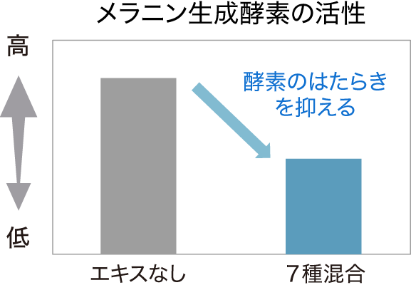 メラニン生成酵素の活性