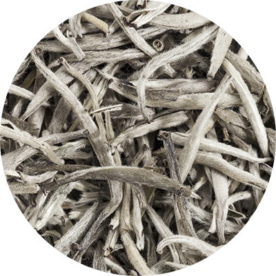 ホワイトティー