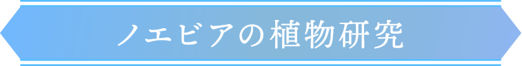 ノエビアの植物研究