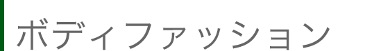 ボディファッション