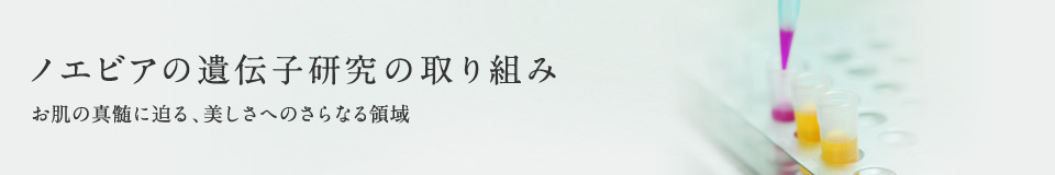 ノエビアの遺伝子研究の取り組み