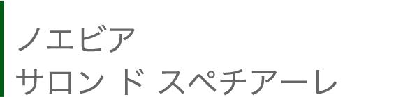 ノエビア サロン ド スペチアーレ