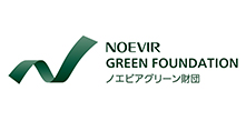 NOEVIR GREEN FOUNDATION