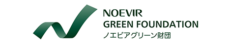 NOEVIR GREEN FOUNDATION