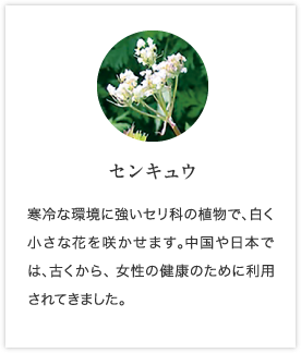センキュウ