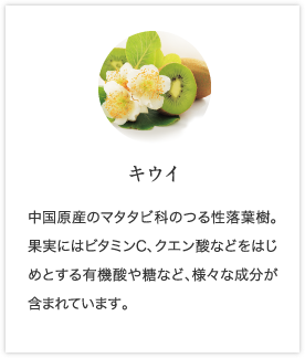 キウイ