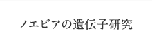 ノエビアの遺伝子研究