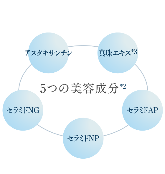 5つの美容成分 イメージ図