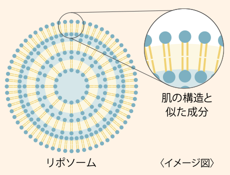 ☆リポスフェリック３箱☆リポゾーム