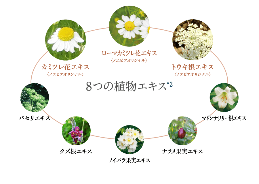 8つの植物エキス イメージ図