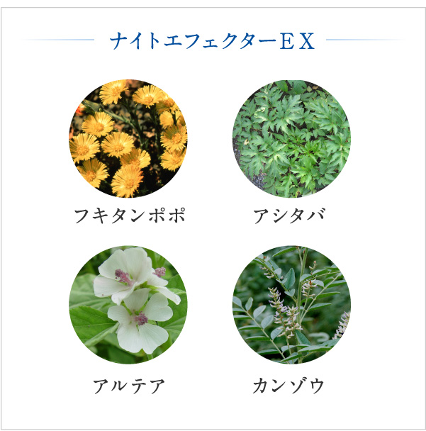 商品情報 | バイオサイン 薬用ナイトスムージー
