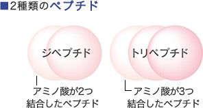 2種類のペプチド