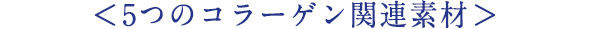 5つのコラーゲン関連素材>